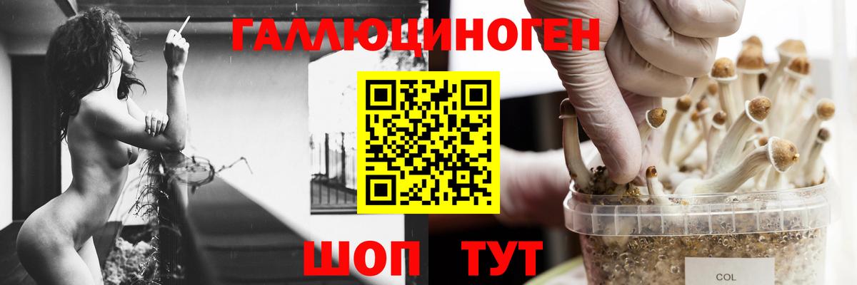 Галлюциногенные грибы Magic Shrooms Сарапул